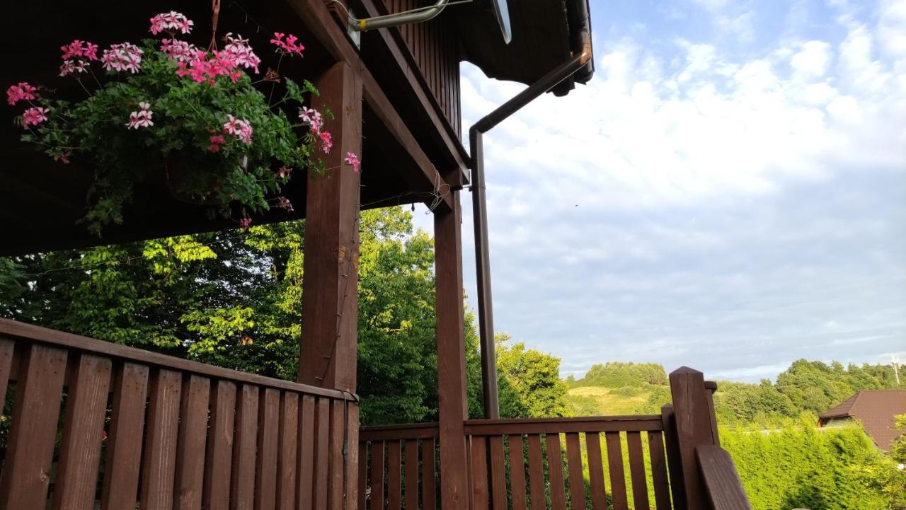 Wielgosowka Holiday home *