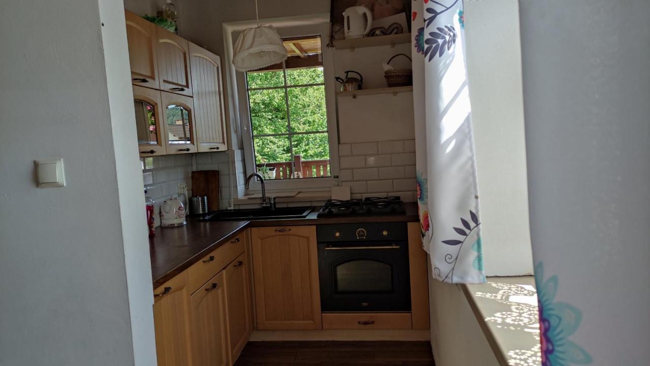 Wielgosowka Holiday home *