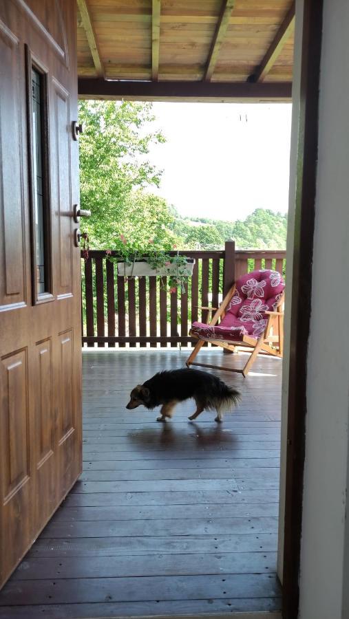 Wielgosowka Holiday home Dynow