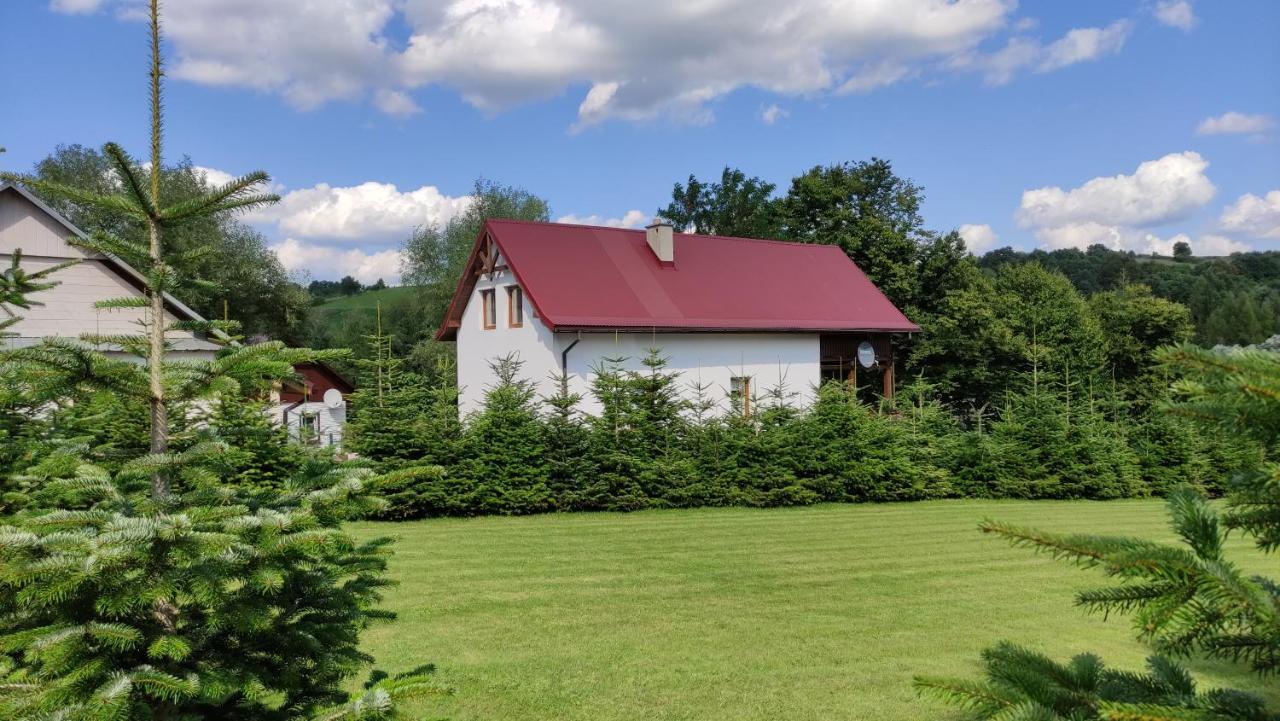 Holiday home Wielgosowka *