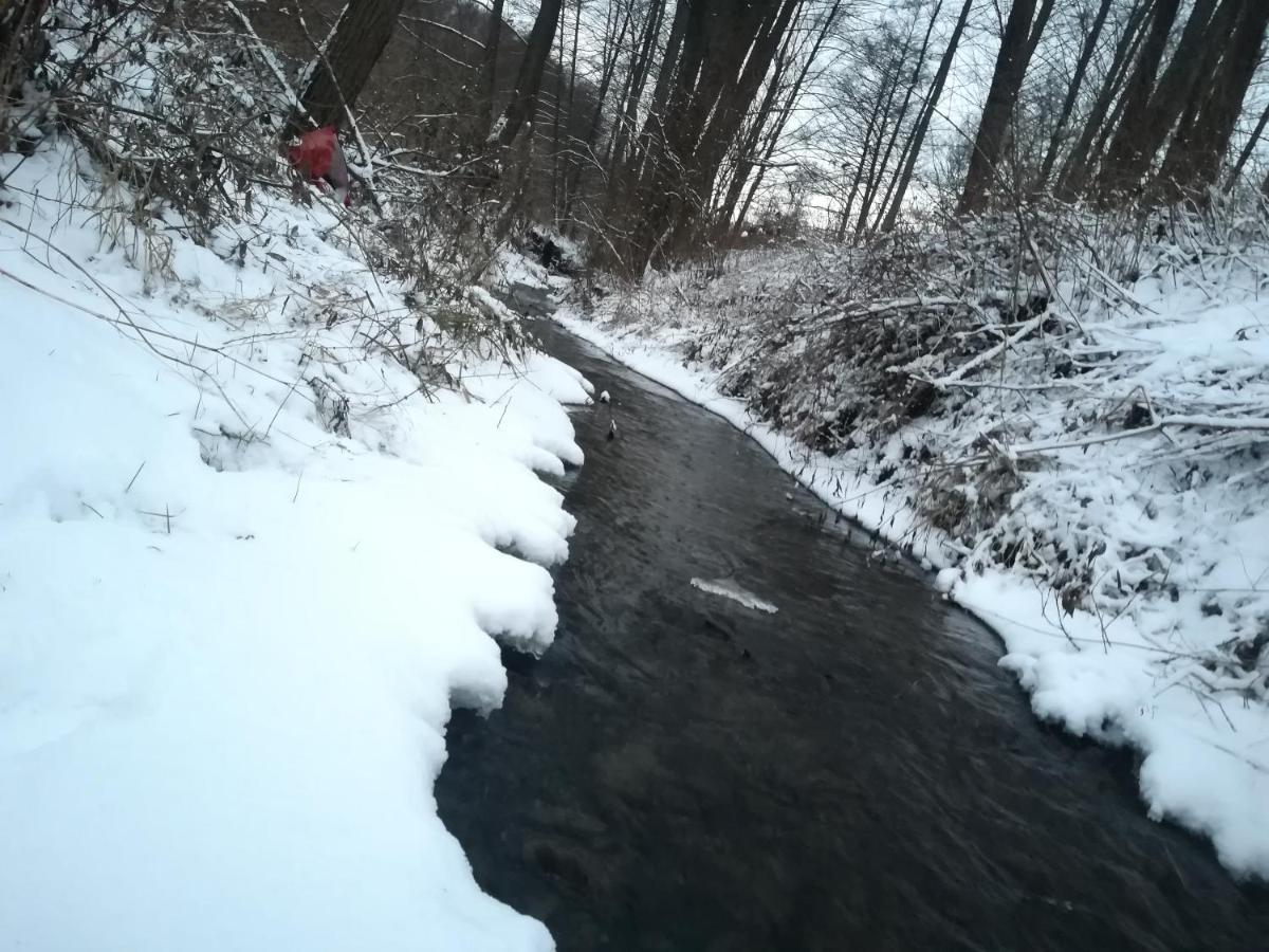 Wielgosowka * Dynow