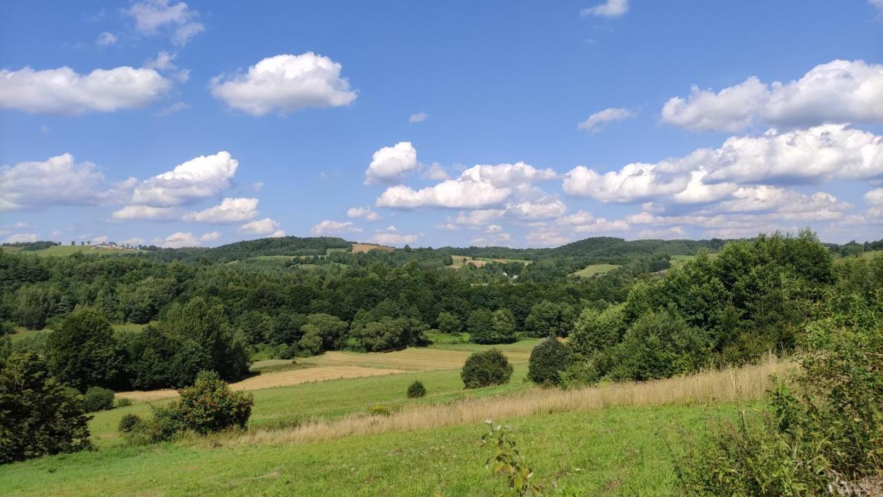 Wielgosowka Holiday home Dynow