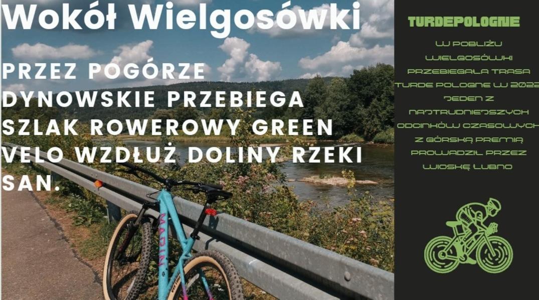 Wielgosowka